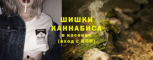 эйфоретик Белокуриха