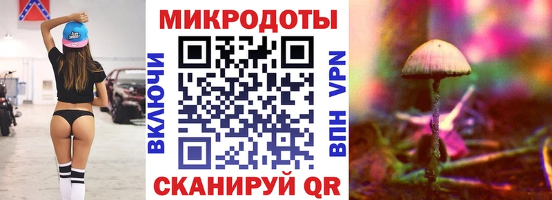 Галлюциногенные грибы Psilocybe  Гатчина 