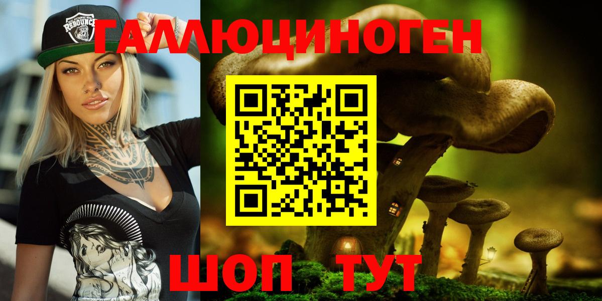 Псилоцибиновые грибы ЛСД Гатчина