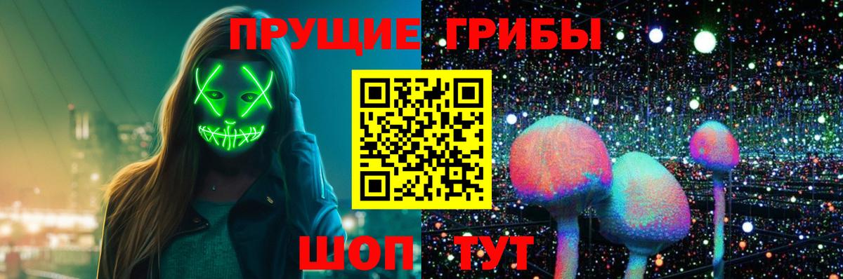 Галлюциногенные грибы MAGIC MUSHROOMS  Вход с VPN  Гатчина 