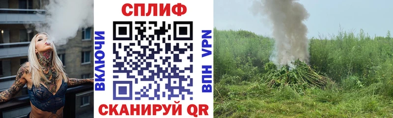 ОМГ ОМГ   Гатчина  Марихуана сатива 